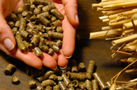 free Blunts Green biomass boiler quotes